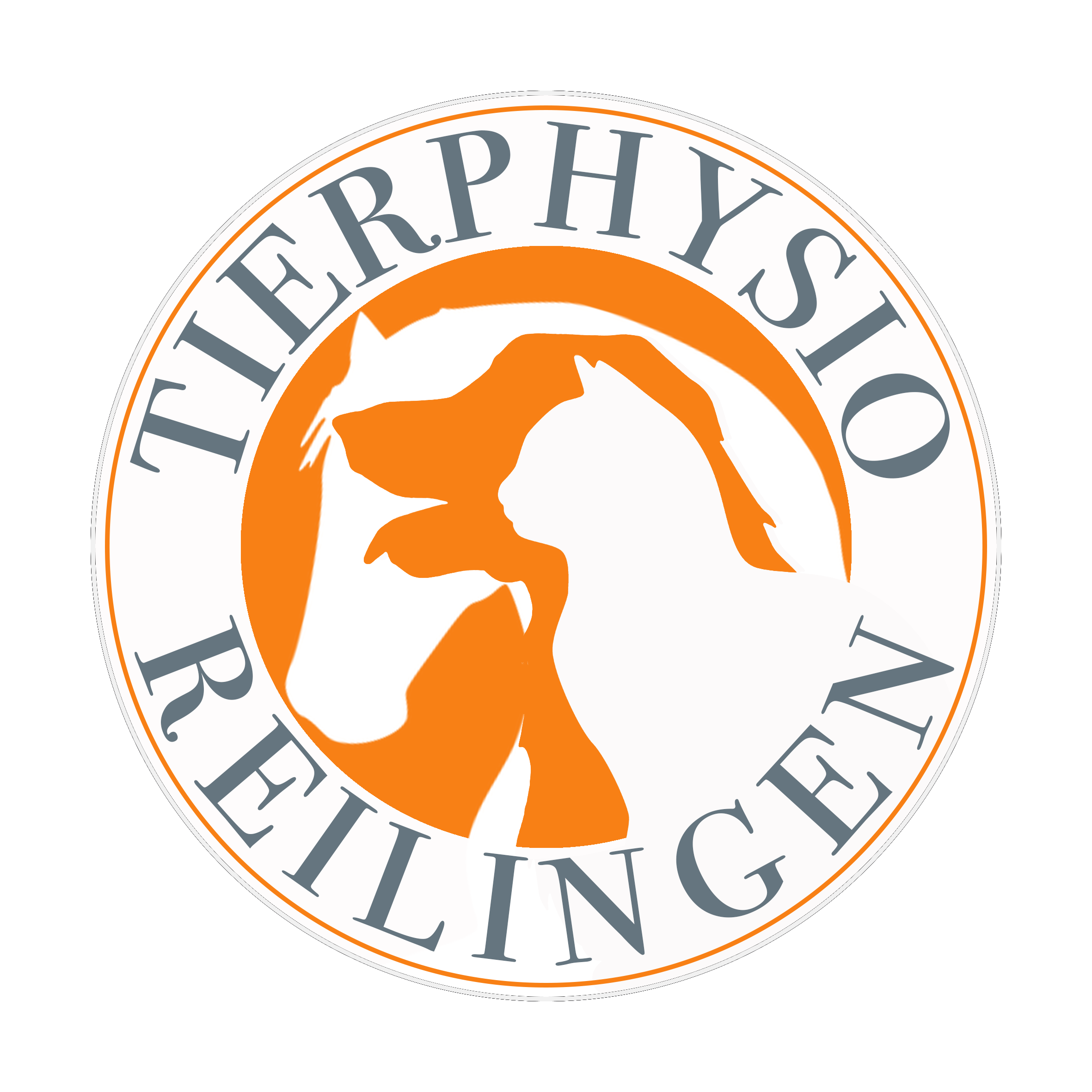 tierphysio reilingen